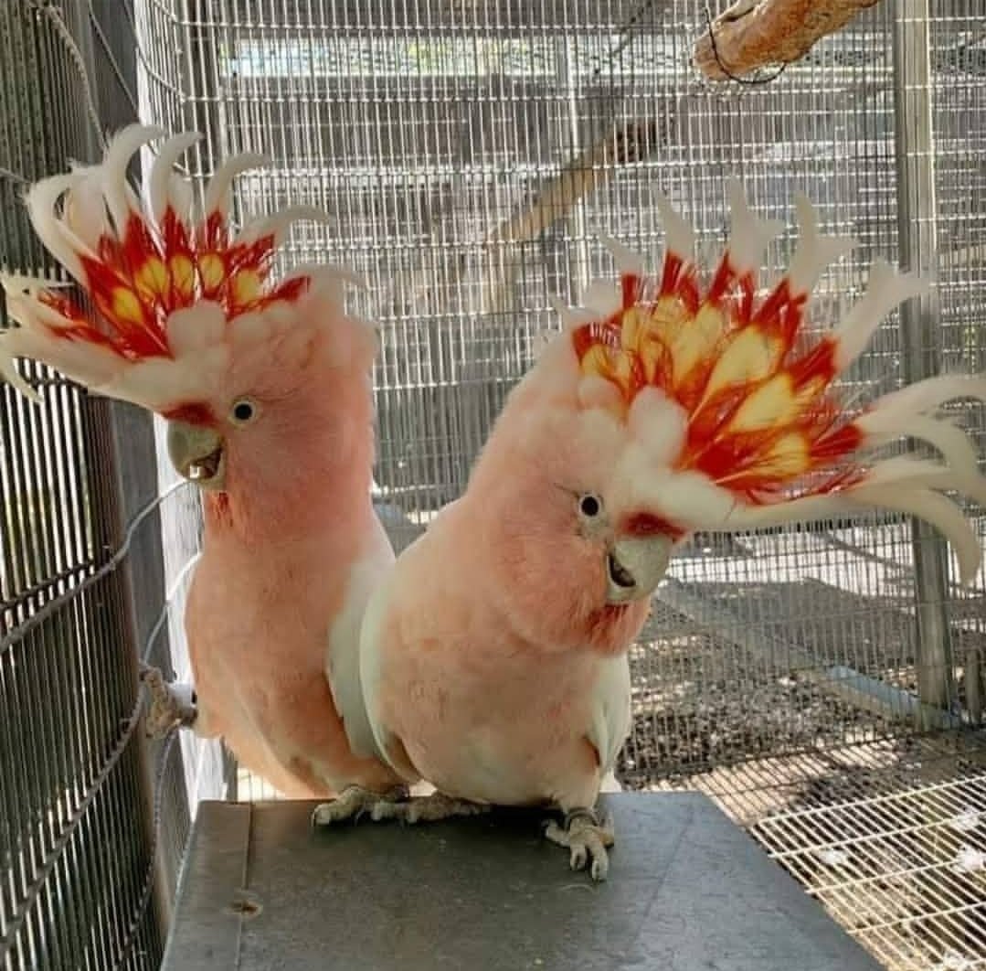 whatsapp image 2025 12 31 at 2.38.58 pm