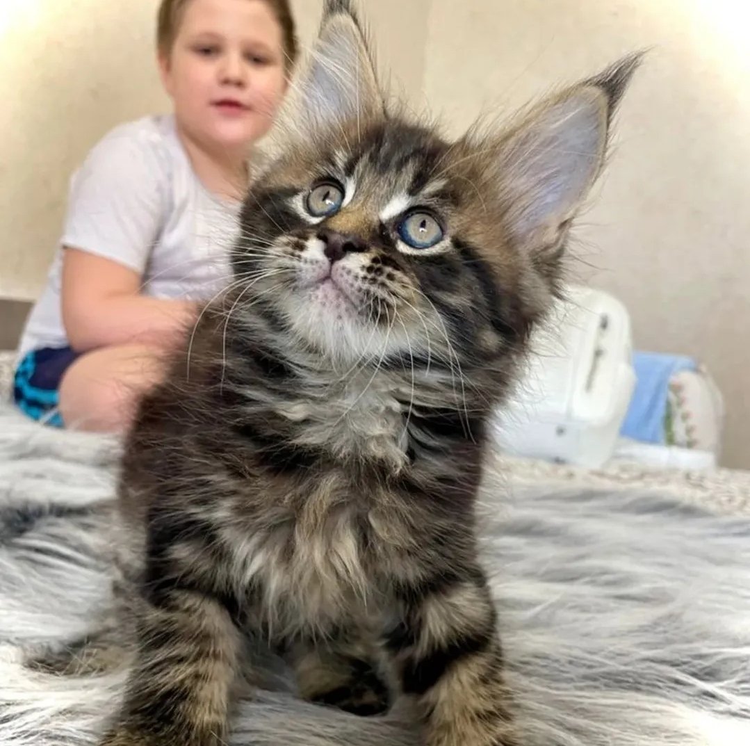 whatsapp image 2025 12 31 at 2.39.13 pm (1)