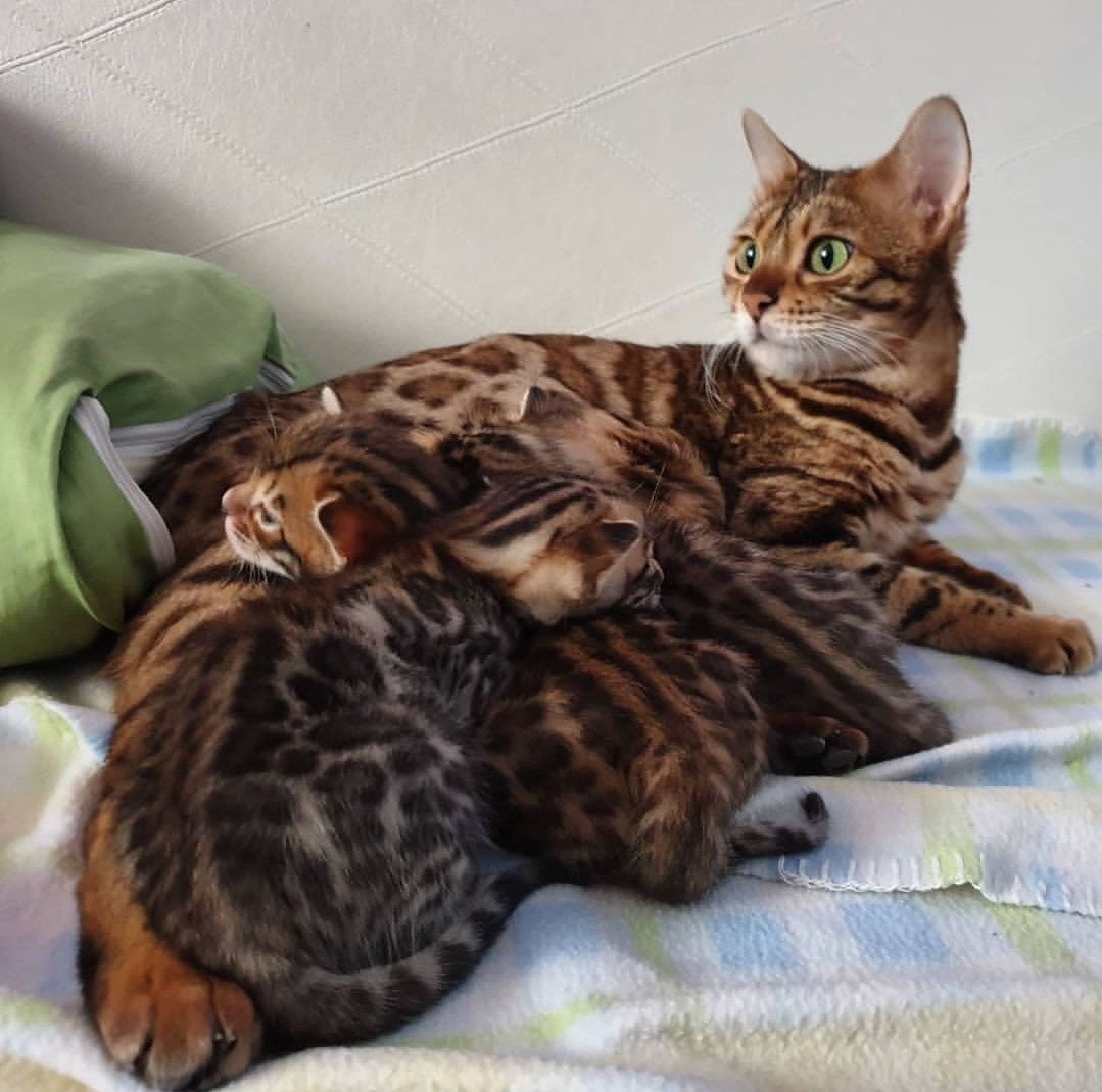 whatsapp image 2025 12 31 at 2.39.14 pm