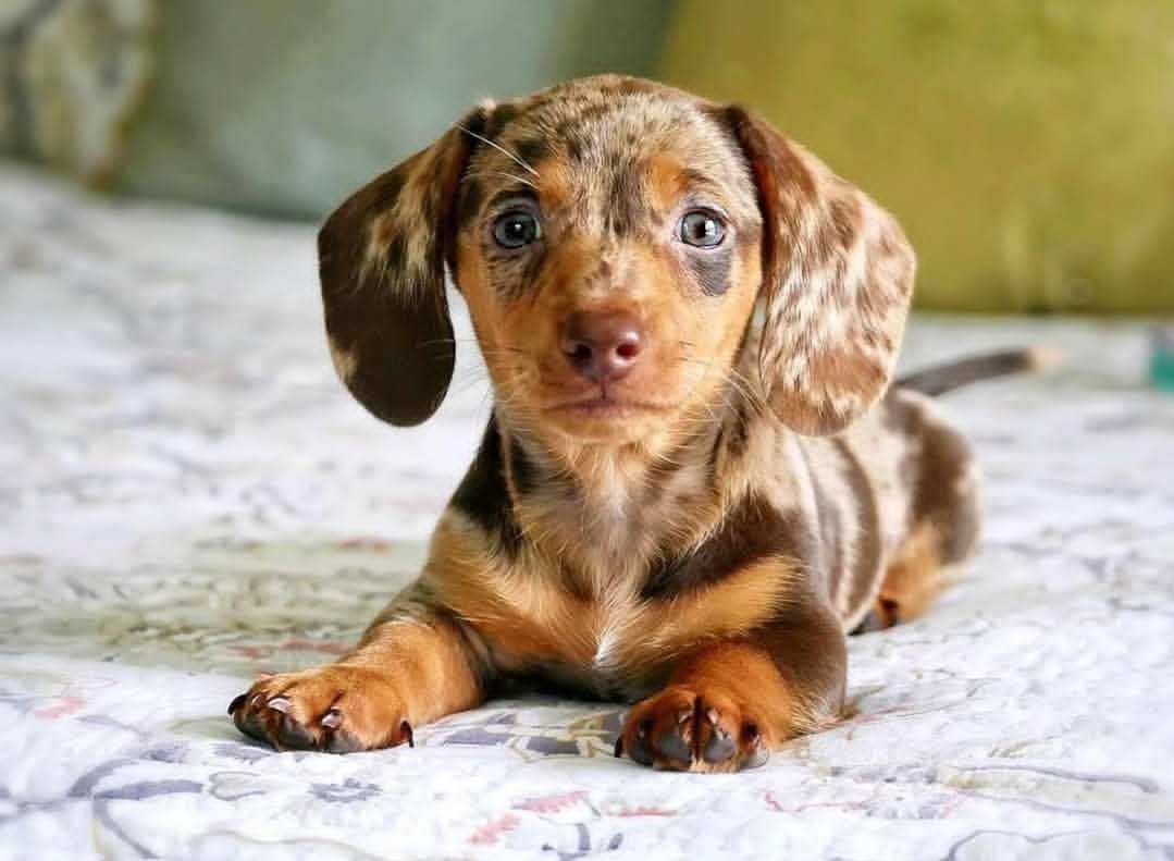 whatsapp image 2025 12 31 at 2.39.17 pm