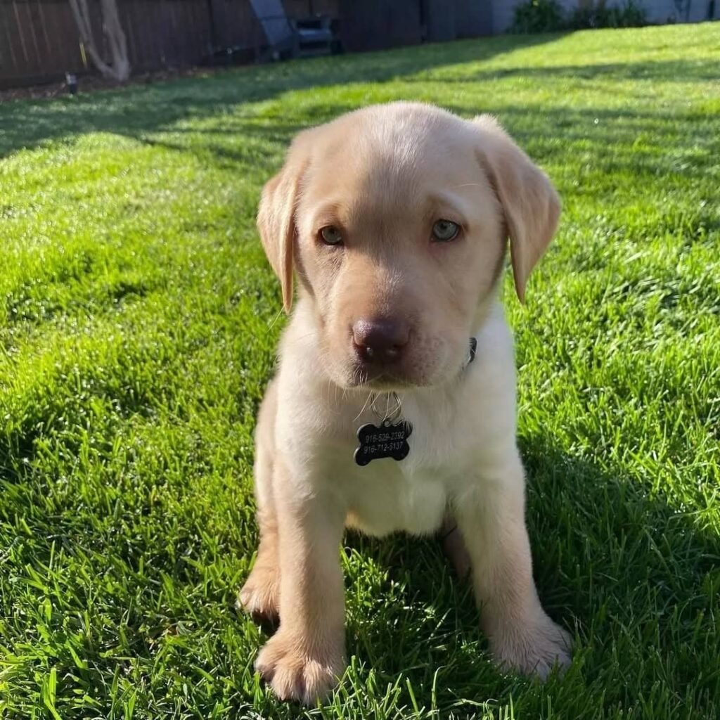 whatsapp image 2026 01 04 at 11.40.16 am