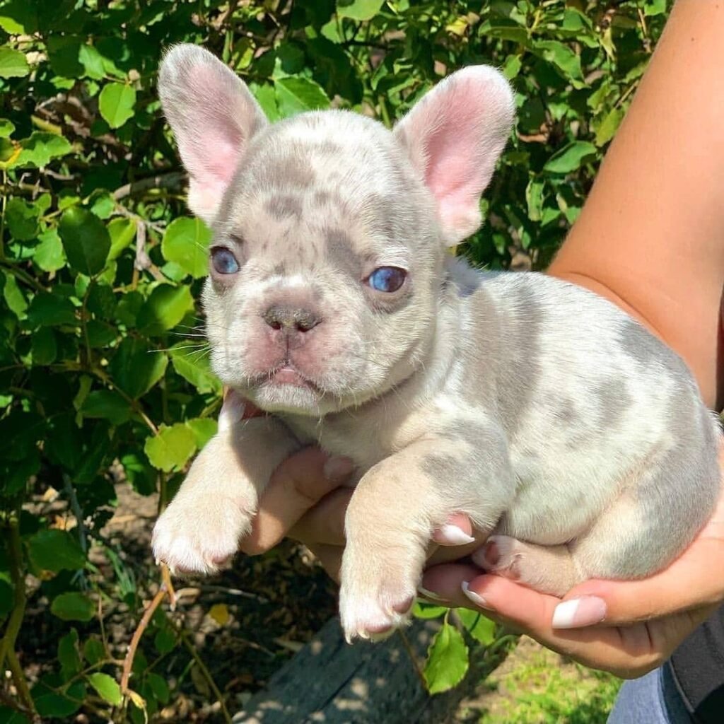 whatsapp image 2026 01 04 at 11.40.23 am