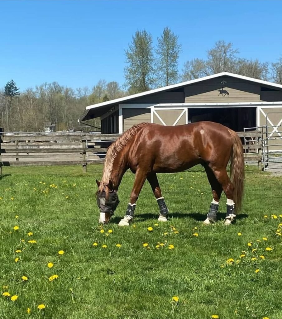 whatsapp image 2026 01 05 at 1.23.40 am (5)