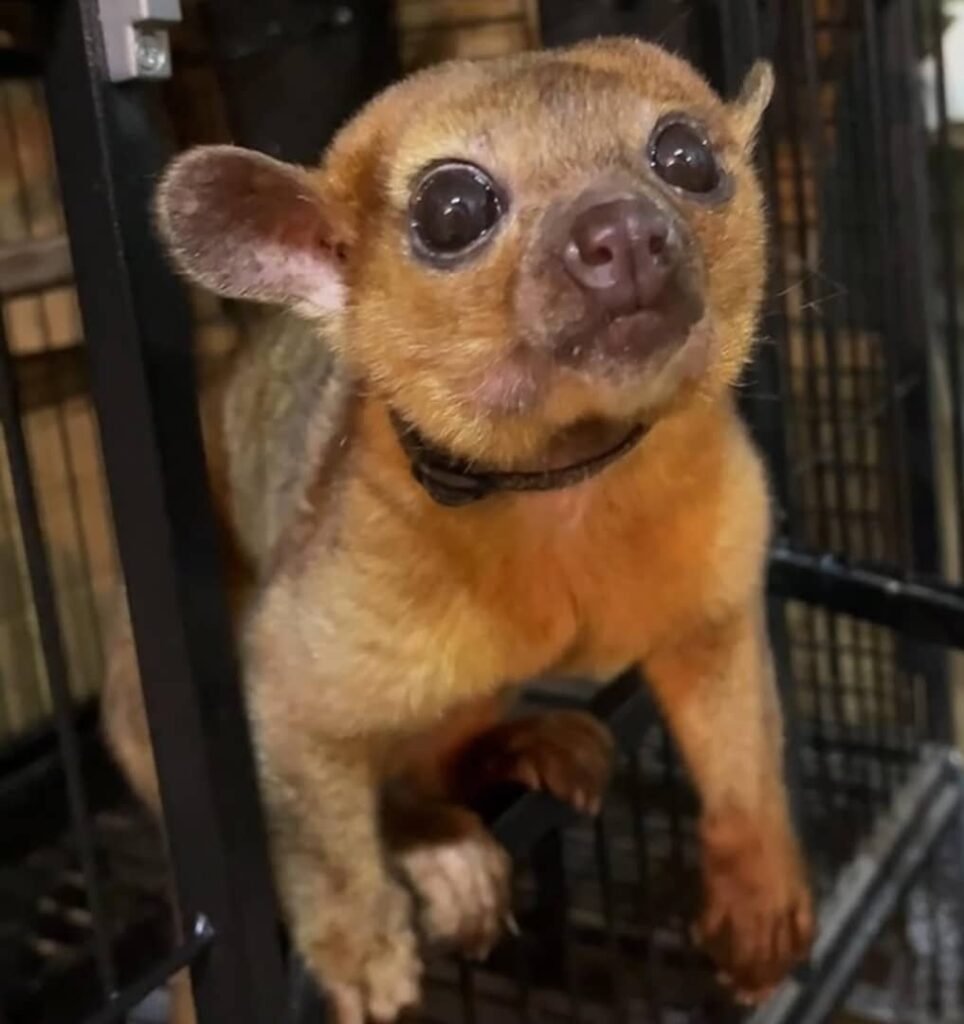 whatsapp image 2026 01 05 at 2.35.21 am