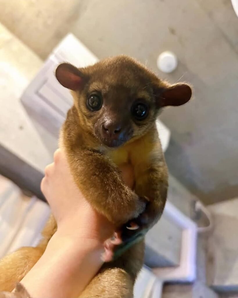 whatsapp image 2026 01 05 at 2.35.22 am (1)