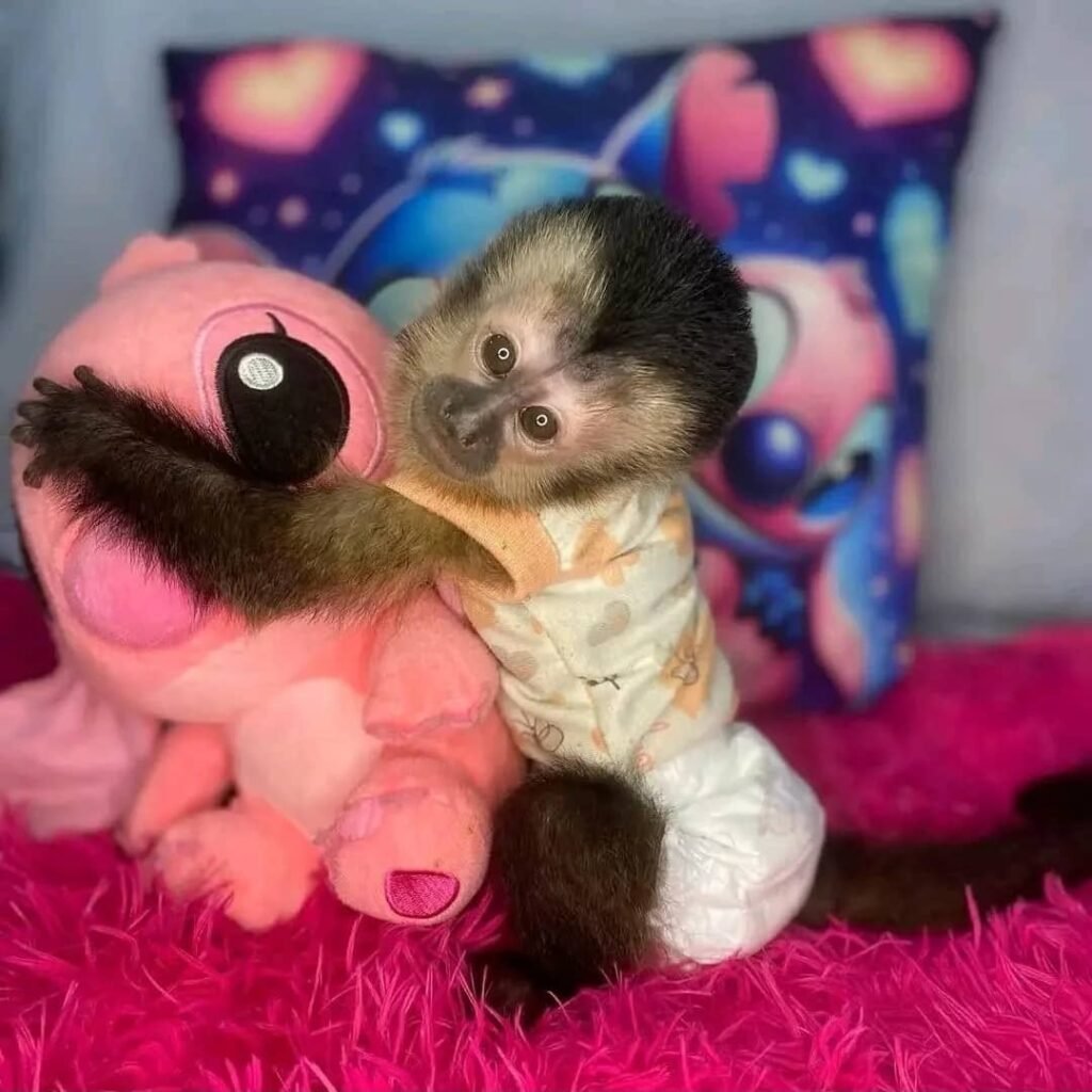 whatsapp image 2026 01 05 at 2.35.25 am (3)