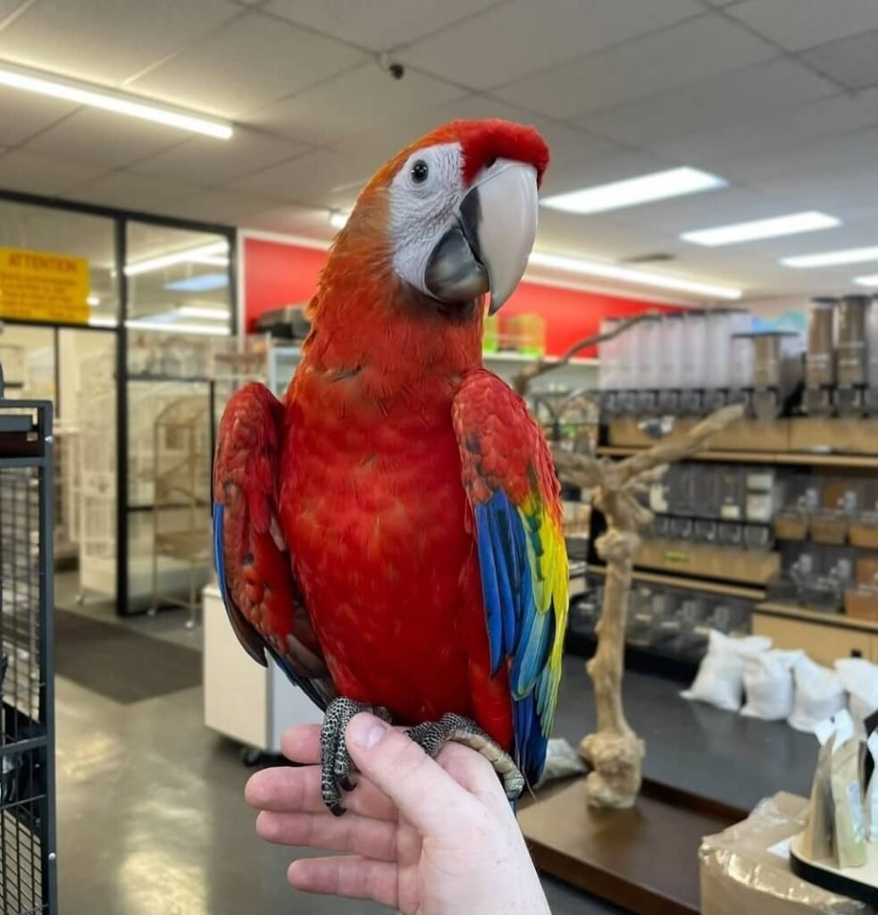 whatsapp image 2026 01 05 at 3.45.29 am (1)