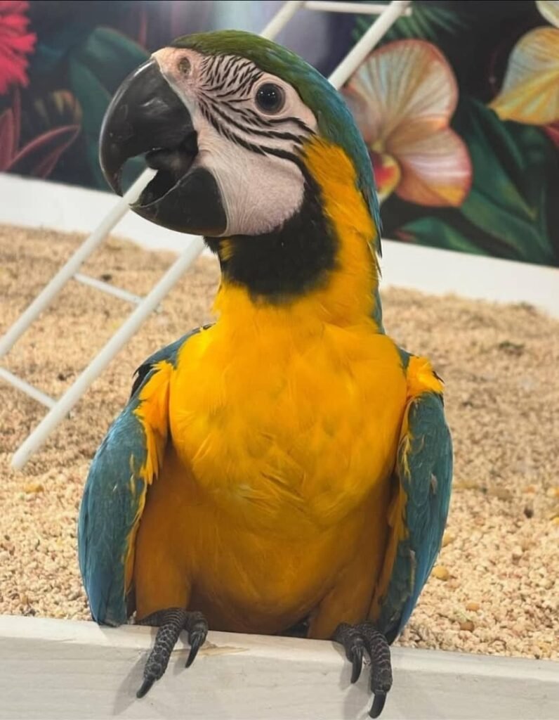 whatsapp image 2026 01 05 at 3.45.32 am