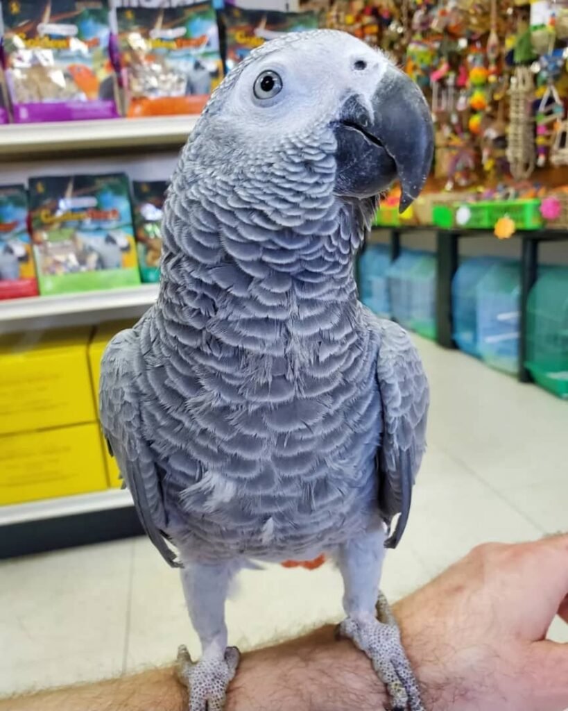 whatsapp image 2026 01 05 at 3.45.37 am